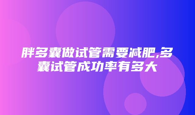 胖多囊做试管需要减肥,多囊试管成功率有多大