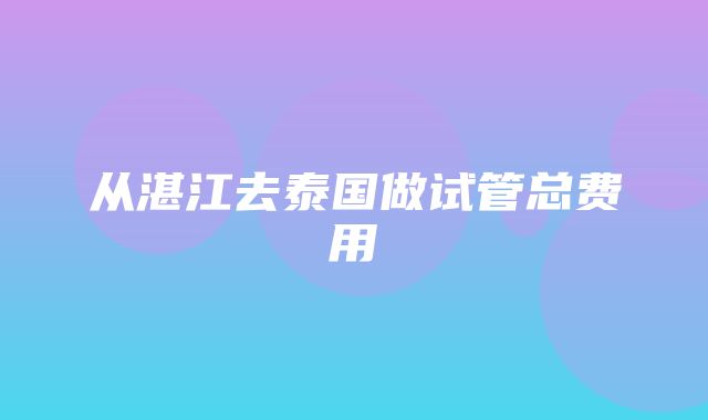 从湛江去泰国做试管总费用