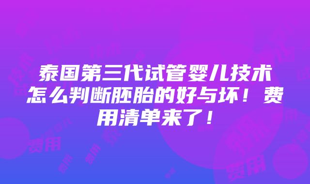 泰国第三代试管婴儿技术怎么判断胚胎的好与坏！费用清单来了！