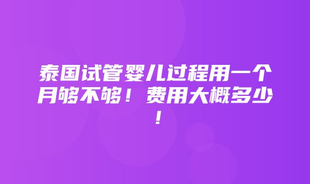 泰国试管婴儿过程用一个月够不够！费用大概多少！