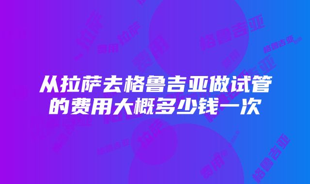 从拉萨去格鲁吉亚做试管的费用大概多少钱一次