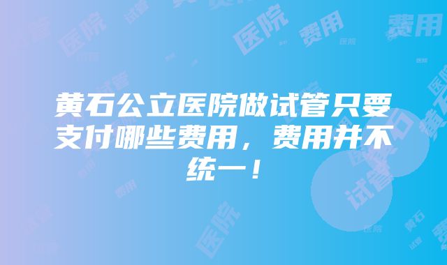 黄石公立医院做试管只要支付哪些费用，费用并不统一！