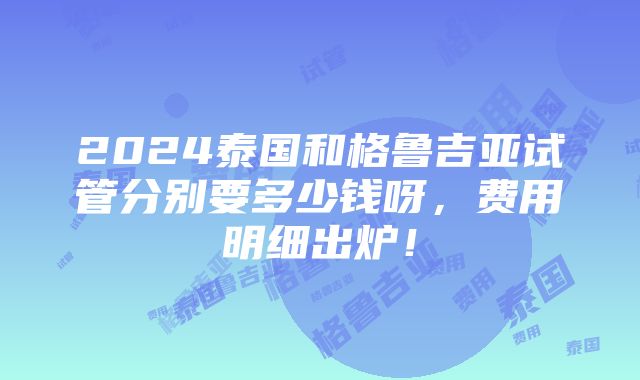 2024泰国和格鲁吉亚试管分别要多少钱呀，费用明细出炉！