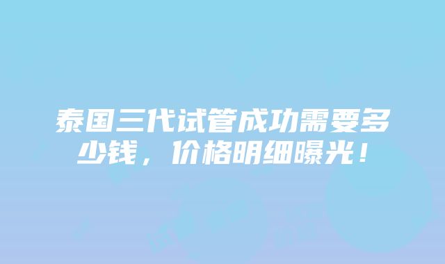 泰国三代试管成功需要多少钱，价格明细曝光！