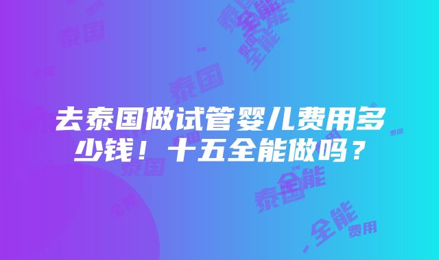 去泰国做试管婴儿费用多少钱！十五全能做吗？