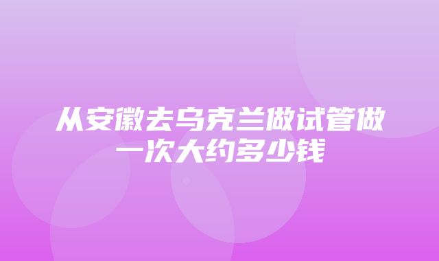 从安徽去乌克兰做试管做一次大约多少钱