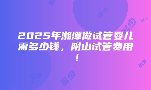 2025年湘潭做试管婴儿需多少钱，附山试管费用！