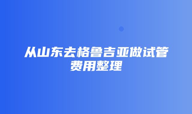 从山东去格鲁吉亚做试管费用整理