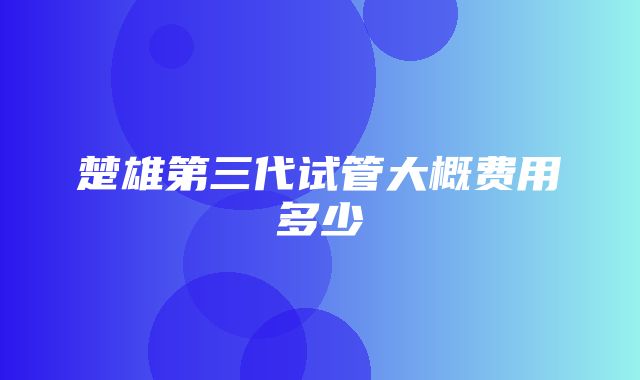 楚雄第三代试管大概费用多少