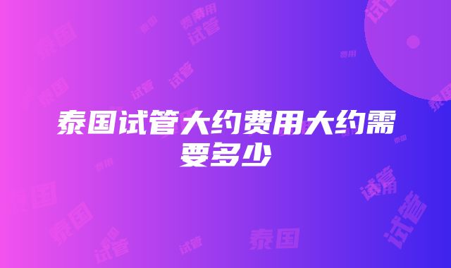 泰国试管大约费用大约需要多少