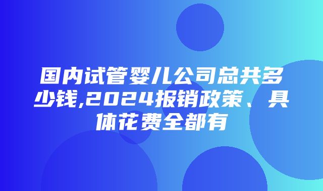 国内试管婴儿公司总共多少钱,2024报销政策、具体花费全都有