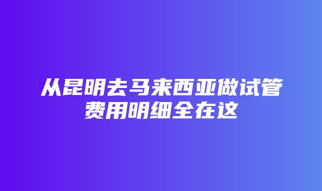 从昆明去马来西亚做试管费用明细全在这