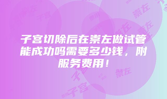 子宫切除后在崇左做试管能成功吗需要多少钱，附服务费用！