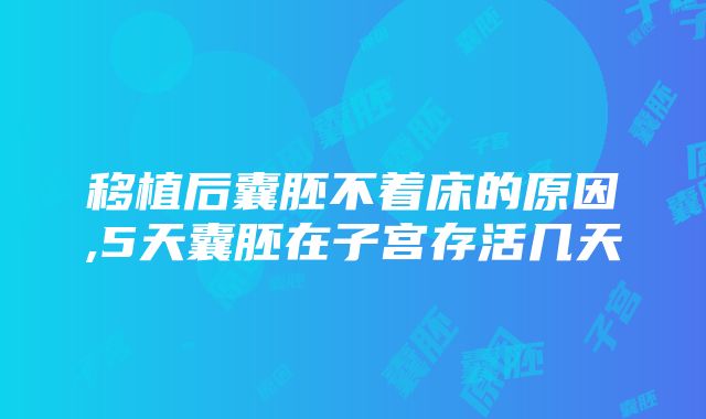 移植后囊胚不着床的原因,5天囊胚在子宫存活几天