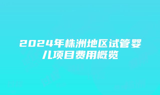 2024年株洲地区试管婴儿项目费用概览