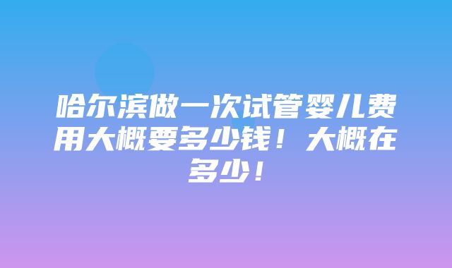 哈尔滨做一次试管婴儿费用大概要多少钱！大概在多少！