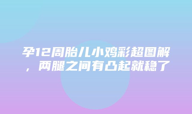 孕12周胎儿小鸡彩超图解，两腿之间有凸起就稳了