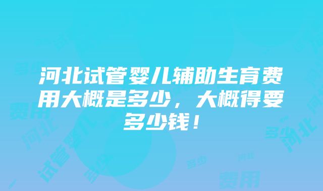 河北试管婴儿辅助生育费用大概是多少，大概得要多少钱！