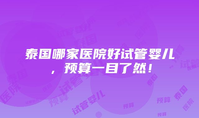 泰国哪家医院好试管婴儿，预算一目了然！