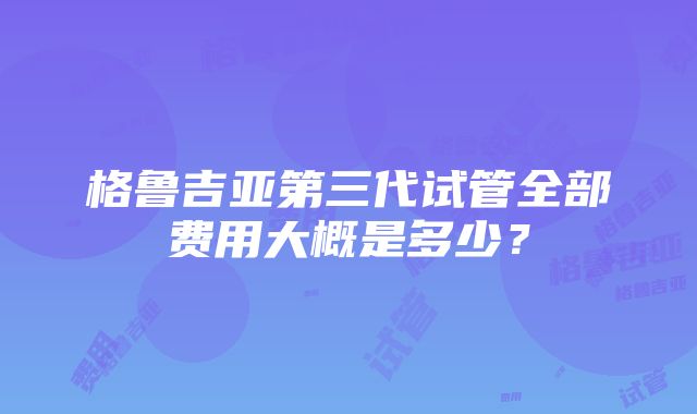 格鲁吉亚第三代试管全部费用大概是多少？