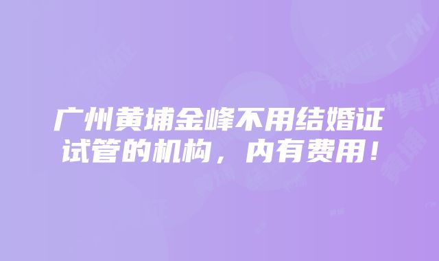 广州黄埔金峰不用结婚证试管的机构，内有费用！