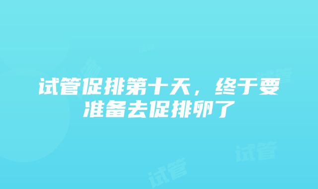 试管促排第十天，终于要准备去促排卵了