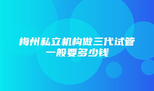 梅州私立机构做三代试管一般要多少钱