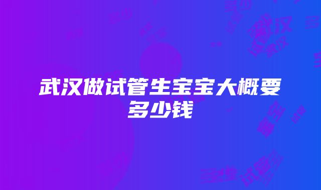 武汉做试管生宝宝大概要多少钱