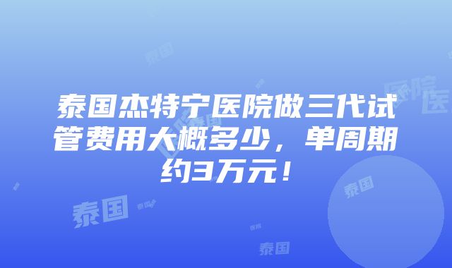 泰国杰特宁医院做三代试管费用大概多少，单周期约3万元！