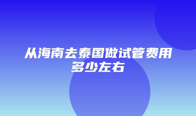 从海南去泰国做试管费用多少左右