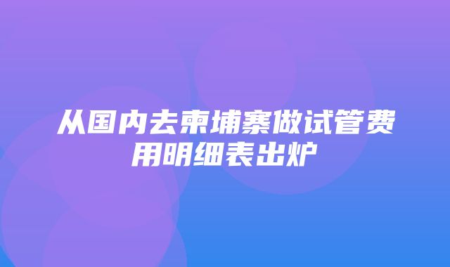 从国内去柬埔寨做试管费用明细表出炉