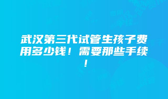 武汉第三代试管生孩子费用多少钱！需要那些手续！