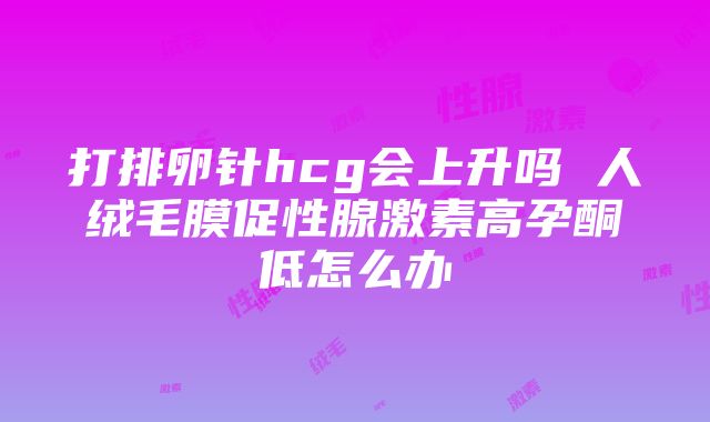 打排卵针hcg会上升吗 人绒毛膜促性腺激素高孕酮低怎么办