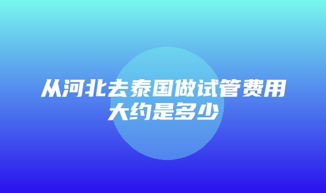 从河北去泰国做试管费用大约是多少