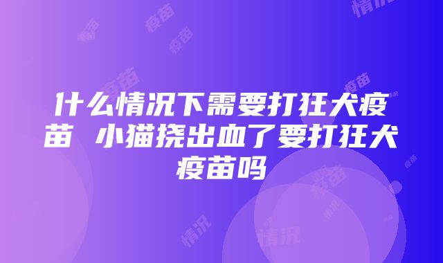 什么情况下需要打狂犬疫苗 小猫挠出血了要打狂犬疫苗吗