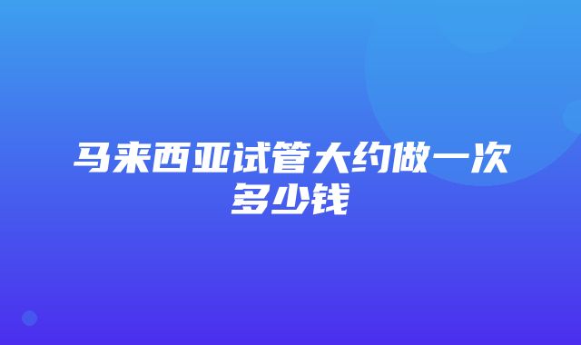 马来西亚试管大约做一次多少钱