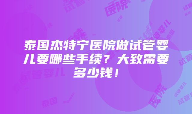 泰国杰特宁医院做试管婴儿要哪些手续？大致需要多少钱！