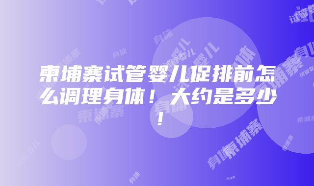 柬埔寨试管婴儿促排前怎么调理身体！大约是多少！