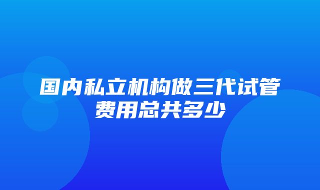 国内私立机构做三代试管费用总共多少