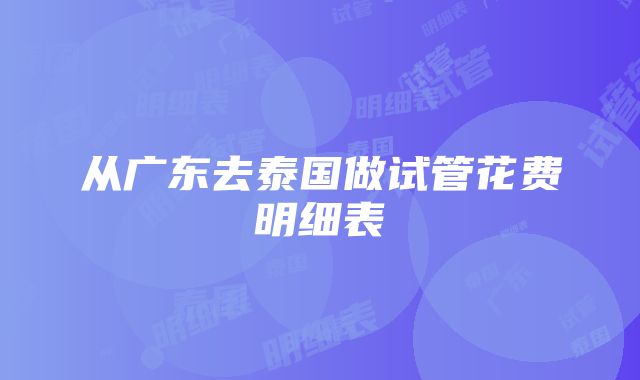 从广东去泰国做试管花费明细表