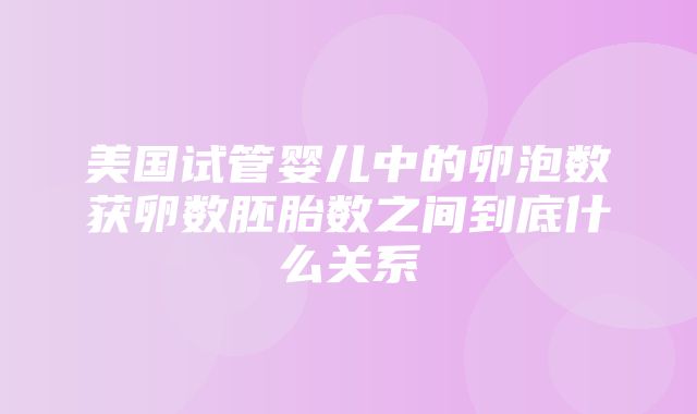 美国试管婴儿中的卵泡数获卵数胚胎数之间到底什么关系