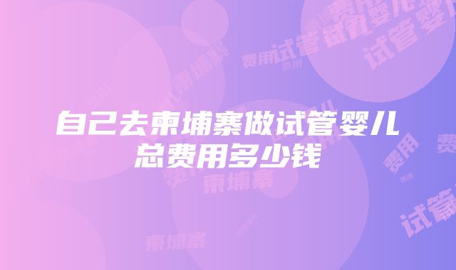 自己去柬埔寨做试管婴儿总费用多少钱