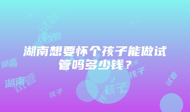 湖南想要怀个孩子能做试管吗多少钱？