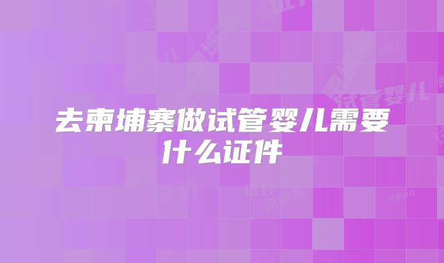 去柬埔寨做试管婴儿需要什么证件