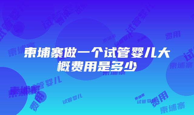 柬埔寨做一个试管婴儿大概费用是多少