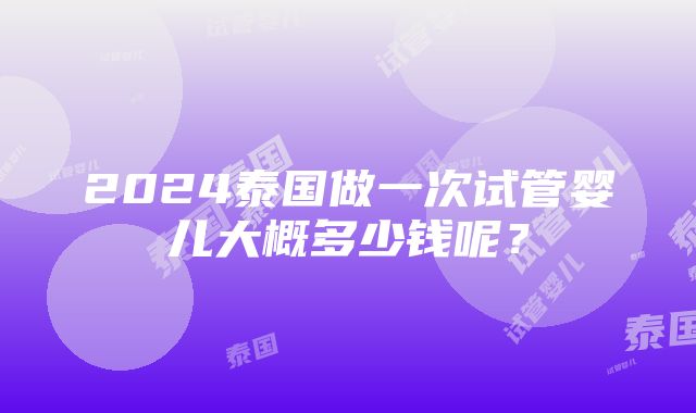 2024泰国做一次试管婴儿大概多少钱呢？