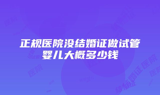 正规医院没结婚证做试管婴儿大概多少钱