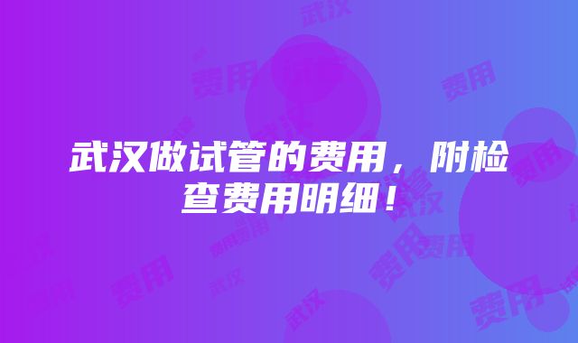 武汉做试管的费用，附检查费用明细！