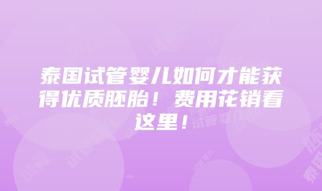 泰国试管婴儿如何才能获得优质胚胎！费用花销看这里！