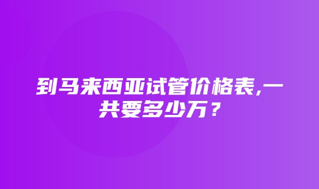 到马来西亚试管价格表,一共要多少万？